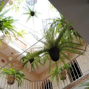 Cordoba Guest house